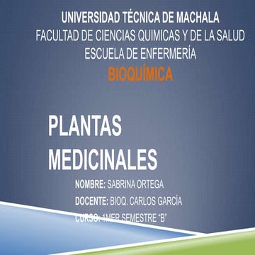 Plantas medicinales y sus efectos en el ser power
