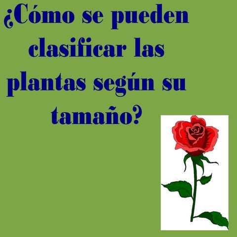 Plantas, árboles hoja caduca y perenne