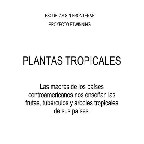 PLANTAS TROPICALES