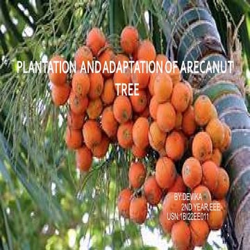 Arecanut Processing.pptx