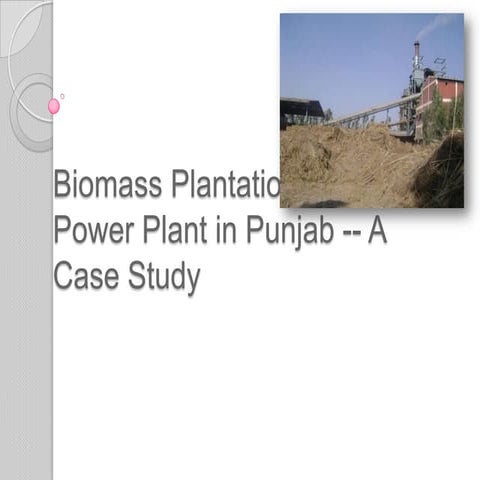 Plantation ppt