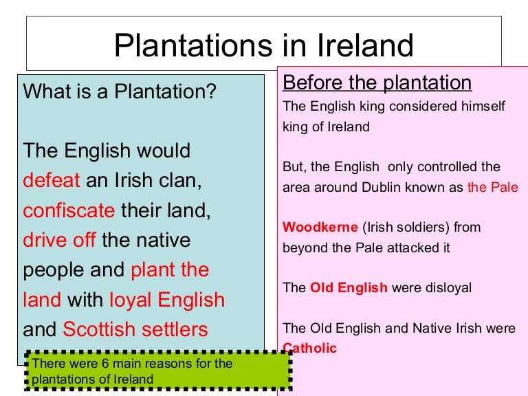 Plantations in ireland