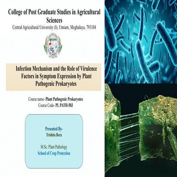 Infection Mechanism and Role of Virulence Factors by Plant Pathogenic Prokaryotes
