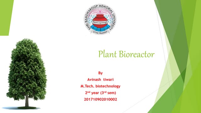 Plant bioreactor