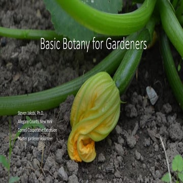 Plant Botany for Gardeners beginner friendly | PPTX