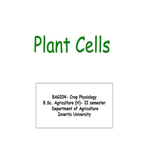 PLANT CELL STRUCTURE AND FUNCTION PDF visual data 7