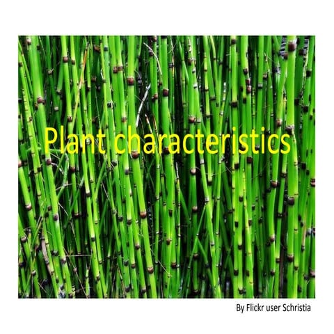 Plant characteristics
