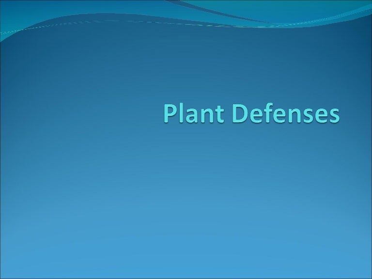 Plant defense
