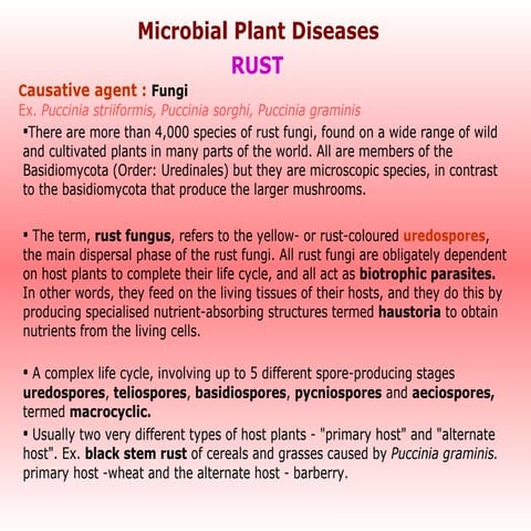 Plant Diseases
