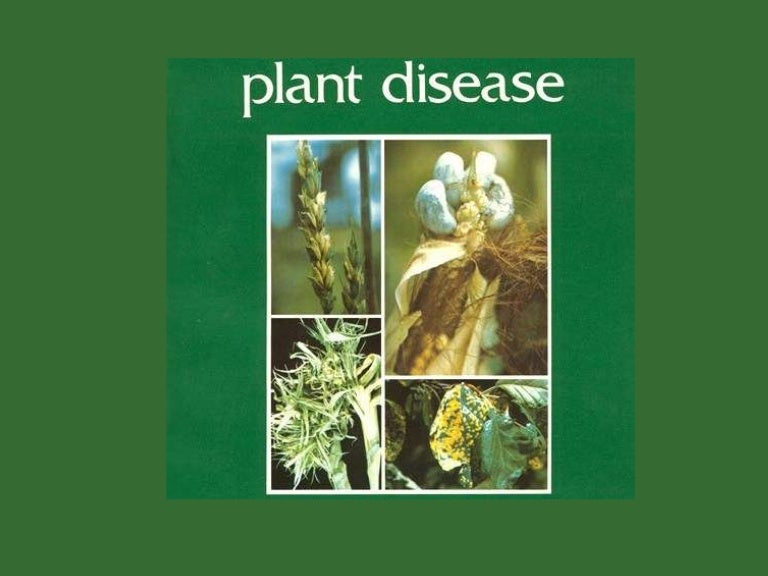 Plant diseases