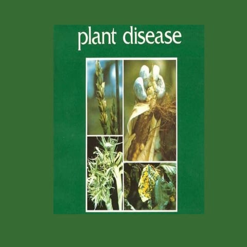 Plant diseases