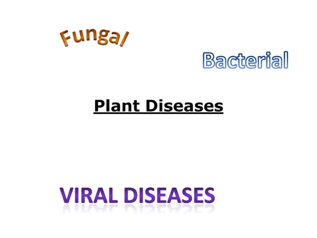 Plant Diseases 170312 V1