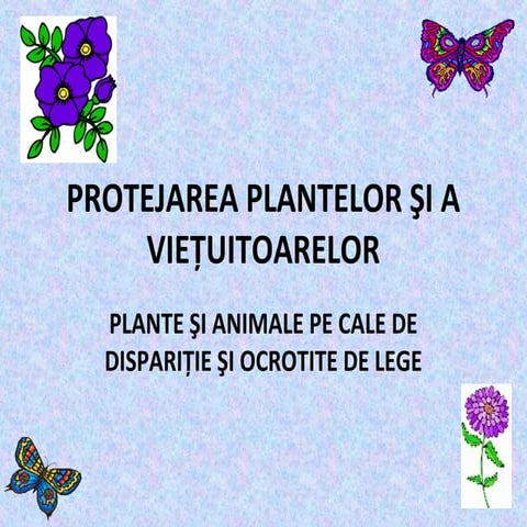 Plante si animale pe cale de disparitie