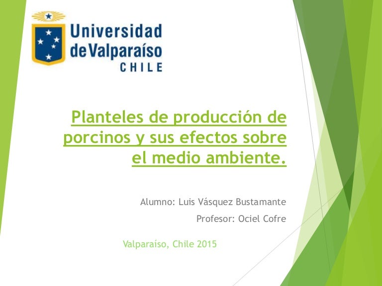 Planteles De Produccion De Porcinos Y Sus Efectos