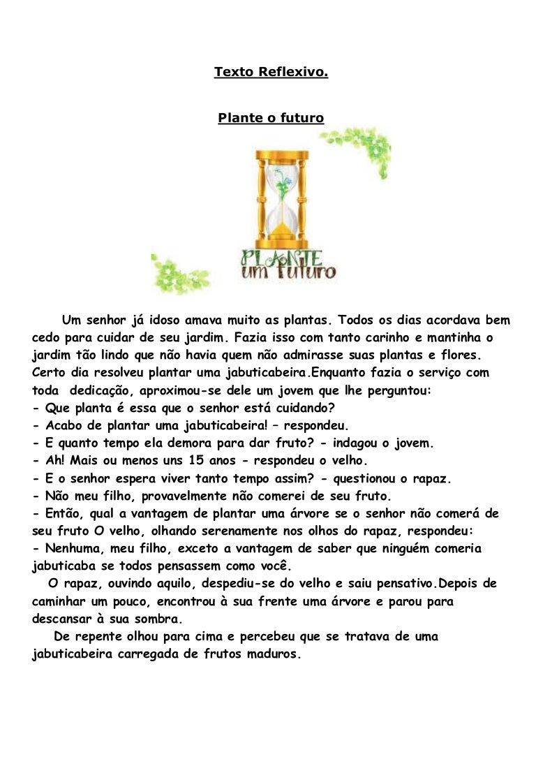 Imagem ilustrativa de um jardim com várias flores