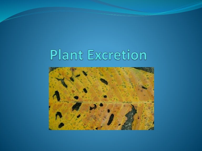Plant excretion