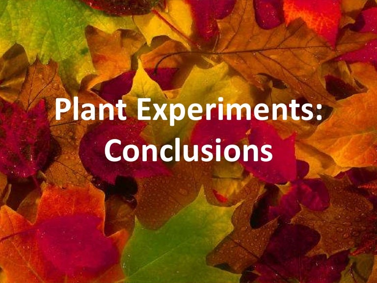 Plant experiments conclusions