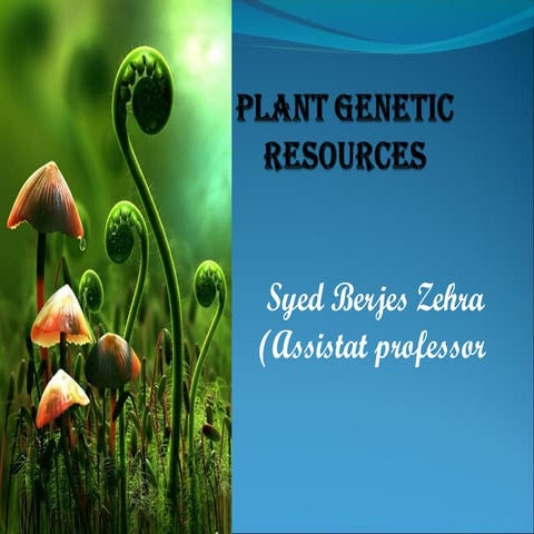 PLANT GENETIC RESOURCES bhj,sbwhvkshkbkb | PPT