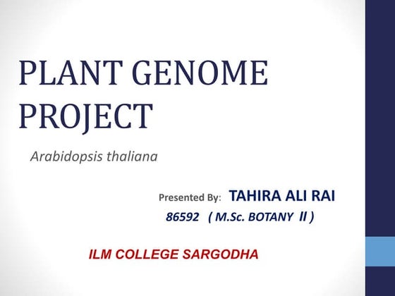 Plant genome project(aribidopsis) | PPTX | Biotech and Biomedical ...