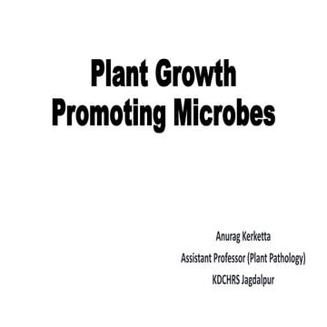 Plant Growth Promoting microbes.pptx