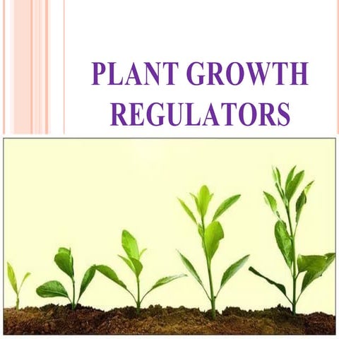 plant growth regulators.pdf Microbiology,