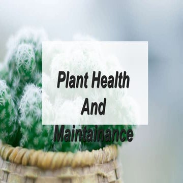 plant health and maintainance.pptx Rajeev Ranjan