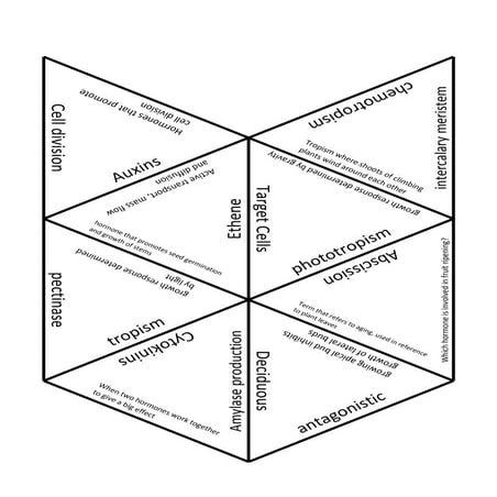 Plant hormone and responses