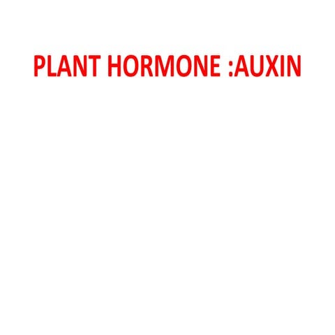 Plant hormone auxin
