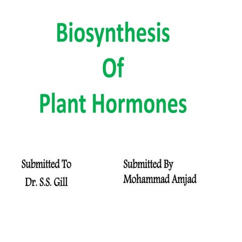 Plant hormone biosysnthesis and function amjad