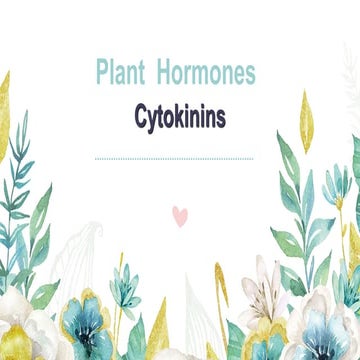 Plant  Hormones(cytokinin)@Rajeev Ranjan. Ppt