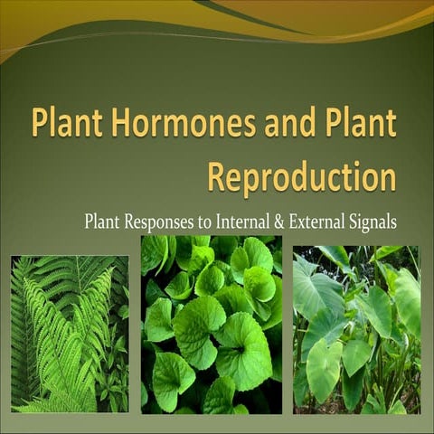 Plant hormones and plant reproduction