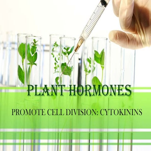 Plant hormones 