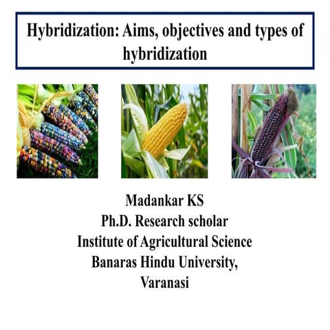 Plant hybridization aims, objectives and types of hybridization