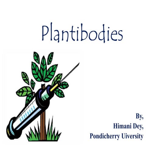 Plantibodies