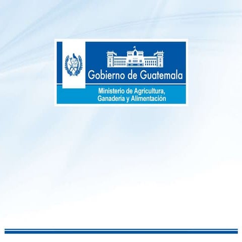 Sandoval Hernández - Plantilla 