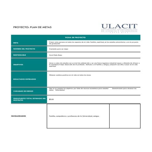 Plantilla De Plan De Metas