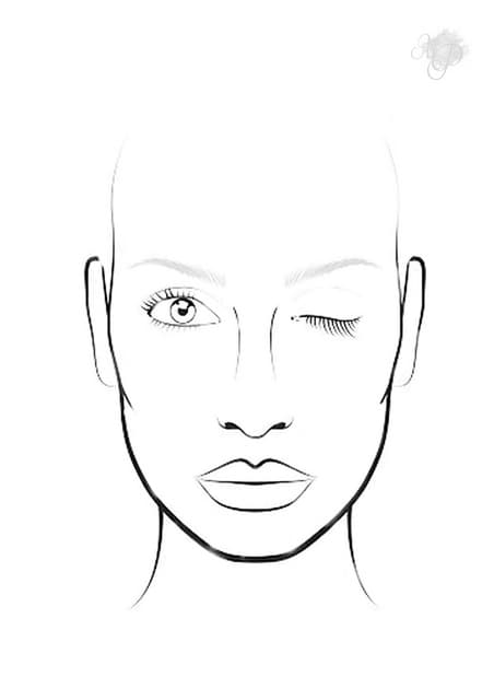 Plantilla facechart- 02 | PDF