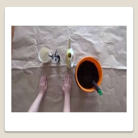 Planting a flower in a pot - work skills