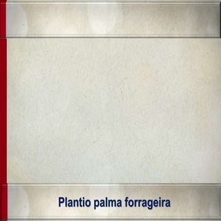 Plantio palma forrageira