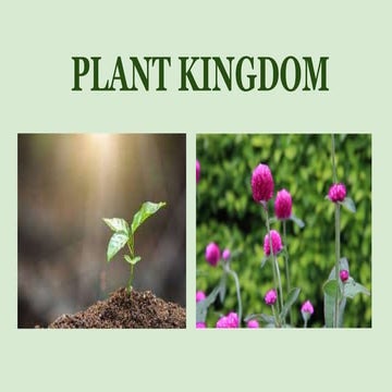 Plant kingdom