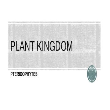 Plant Kingdom III