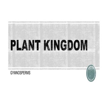 Plant Kingdom IV