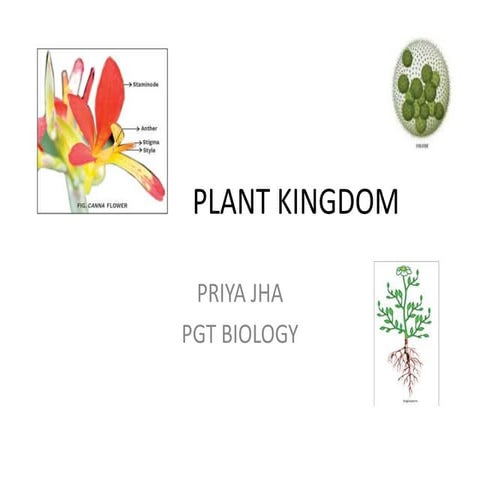 PLANT KINGDOM_ALGAE_PRIYA JHA PGT BIOLOGY_KVSDC