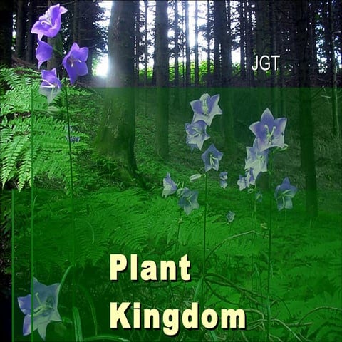 Plant kingdom 