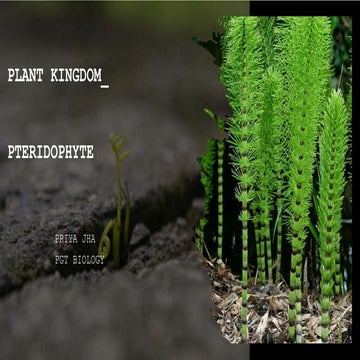 PLANT KINGDOM_PTERIDOPHYTE.PRIYA JHApptx