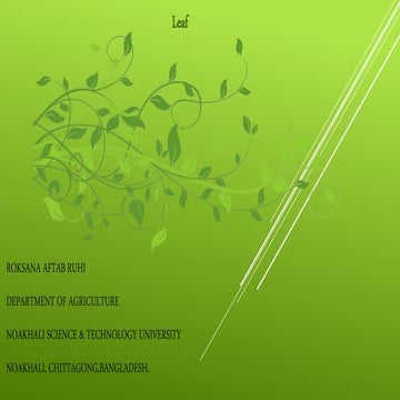 Plant leaf -an introduction