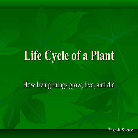 Plant life cycle | PPT