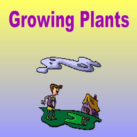 Plant life cycle (1)