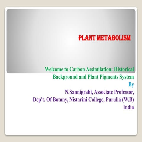 Plant Metabolism | PDF
