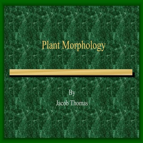 Plant morphology